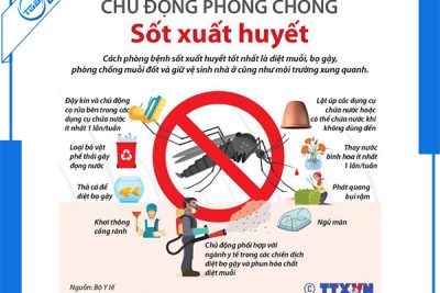 Trường Mầm non Bắc Lý tuyên truyền phòng chống dịch sốt xuất huyết